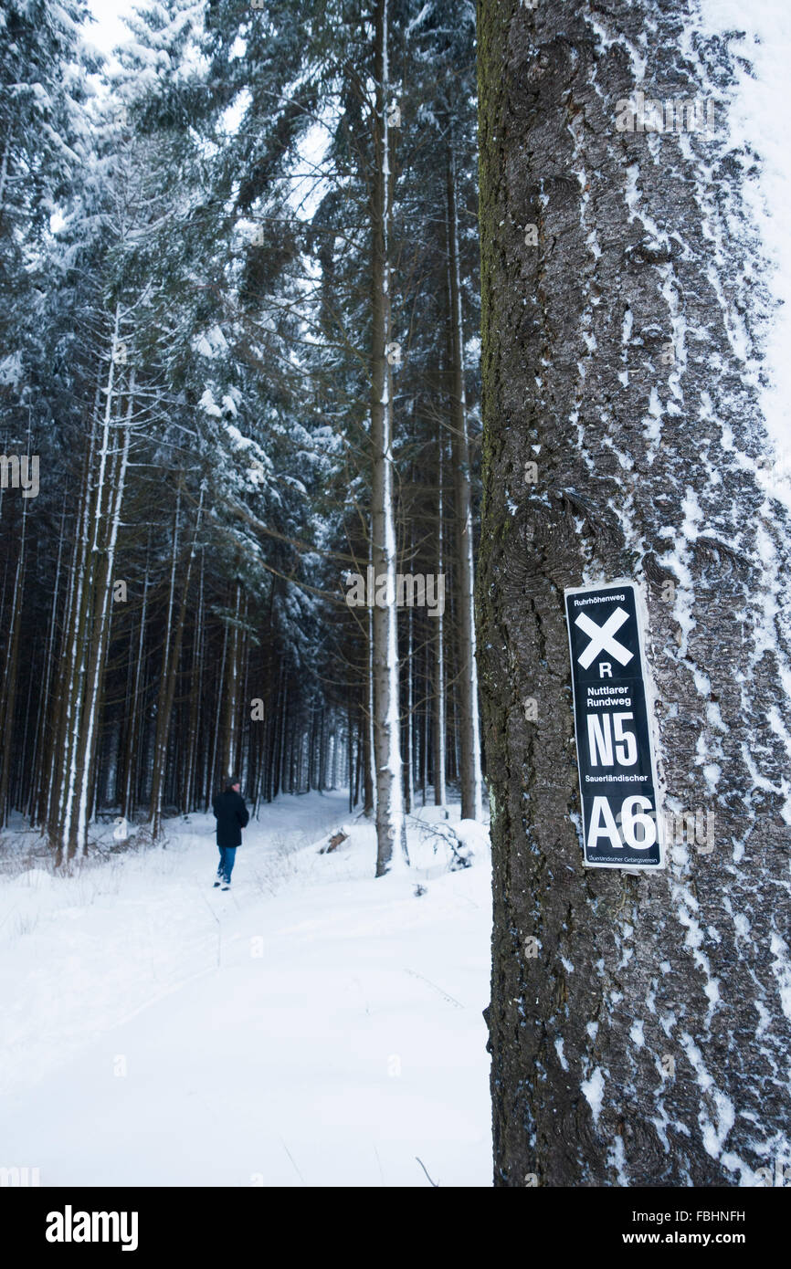 Uomo a camminare attraverso la foresta di inverno Foto Stock