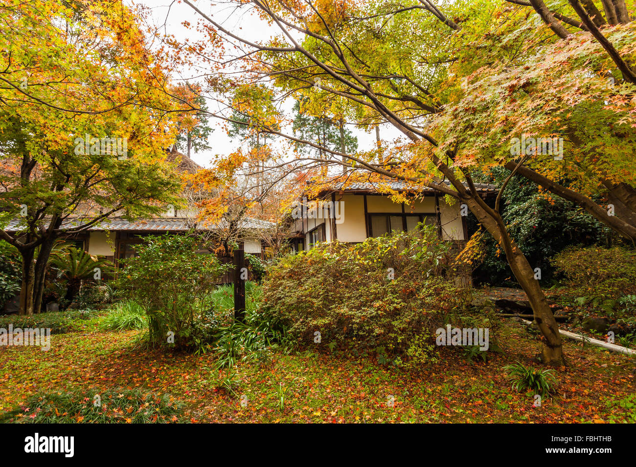 Bella foresta autunnale con cabina Foto Stock