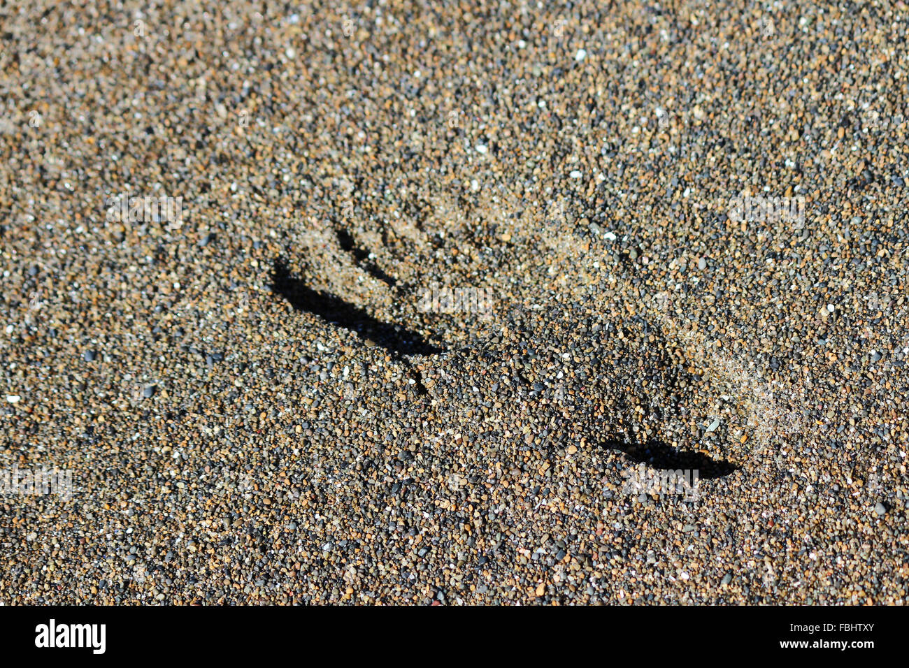 Ingombro con sabbia ghiaiosa spiaggia dell'oceano, illusione sollevata per effetto di tessitura, la luce del sole ed ombra Foto Stock