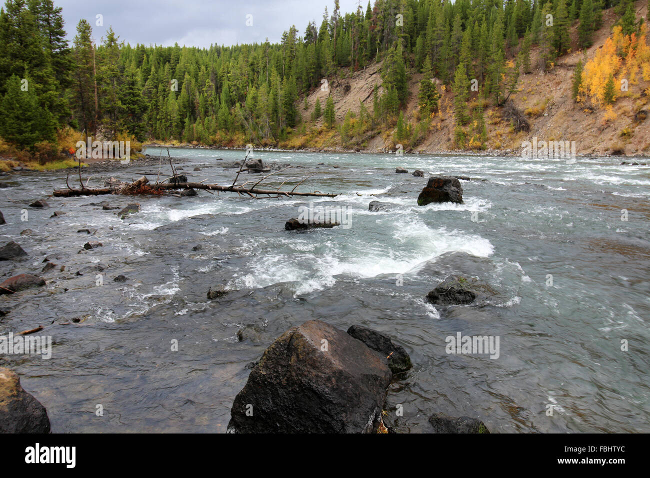Correndo acqua nel roccioso del fiume Colorado con cappucci bianchi e la linea del litorale riempito con alberi di pino e di roccia arancione sotto un cielo blu Foto Stock