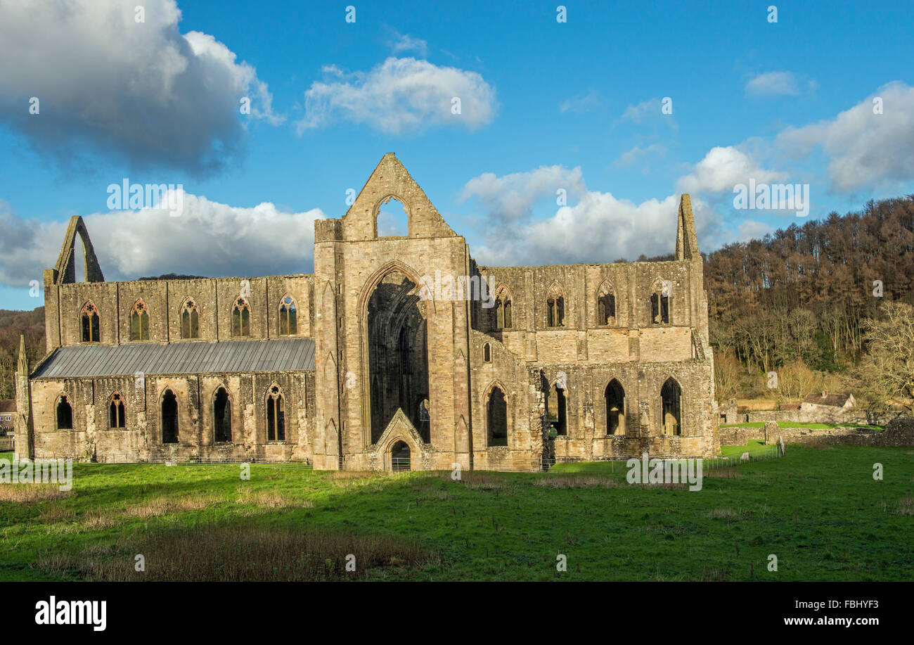Tintern Abbey nella valle del Wye, Monmouthshire, South Wales, fondata da Walter de Clare, nel XII secolo Foto Stock