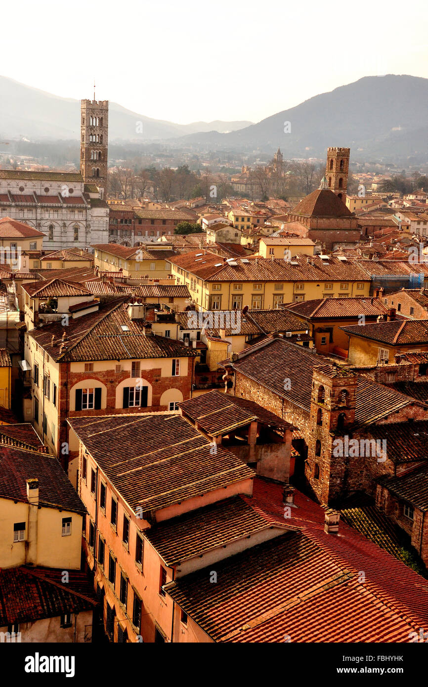 Tetto a vista sulla cittadina rinascimentale di Lucca, Toscana, Italia Foto Stock