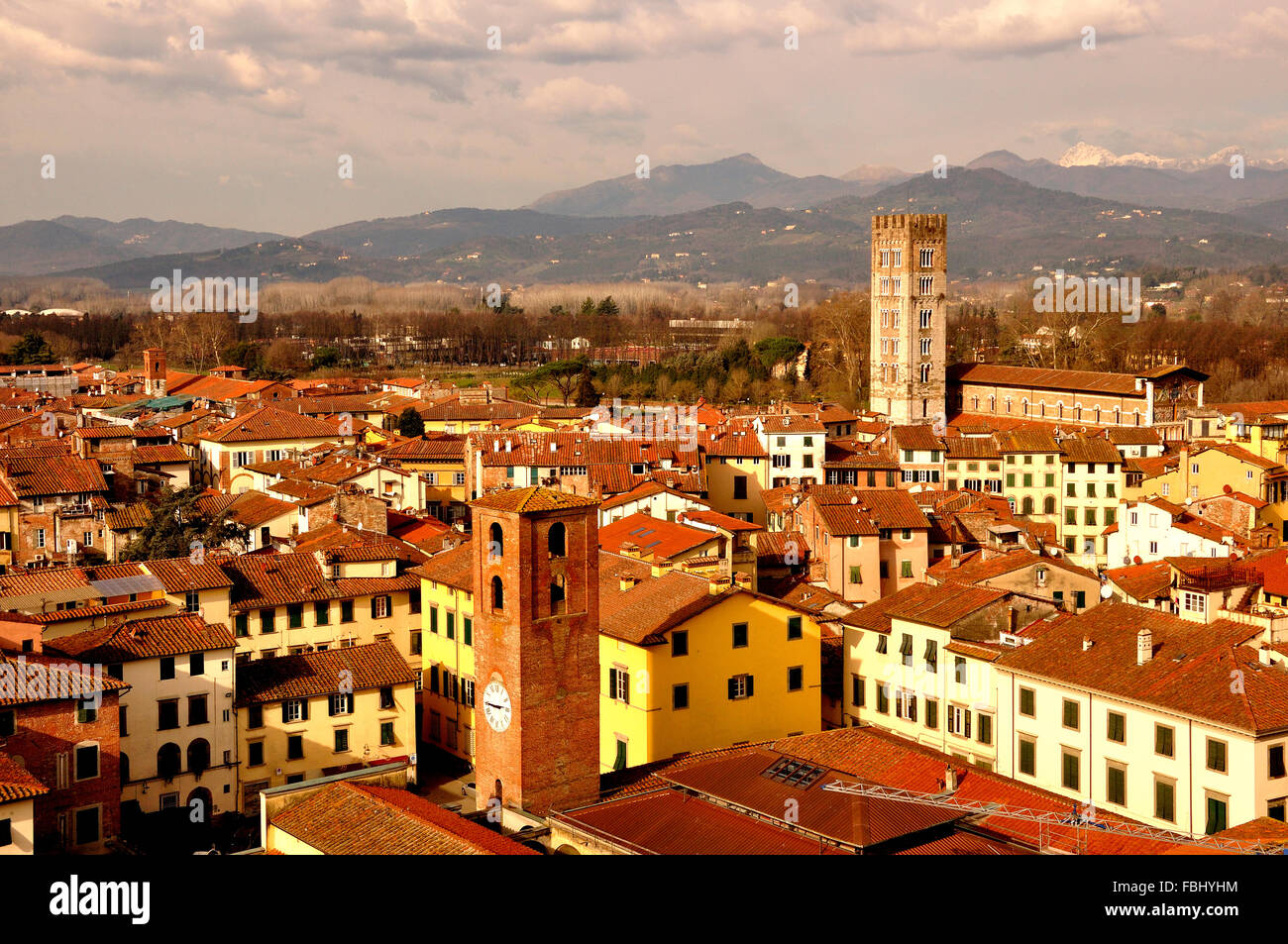 Tetto a vista sulla cittadina rinascimentale di Lucca, Toscana, Italia Foto Stock