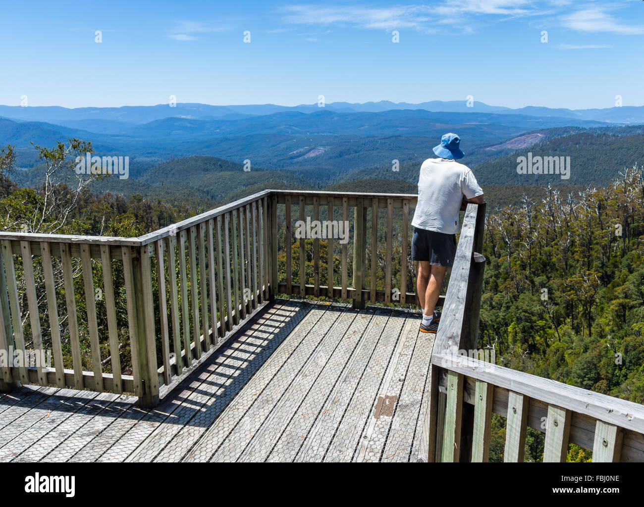 Un uomo ammirando la vista a Waratah Lookout Hartz montagne, Geeveston, Tasmania, Australia Foto Stock