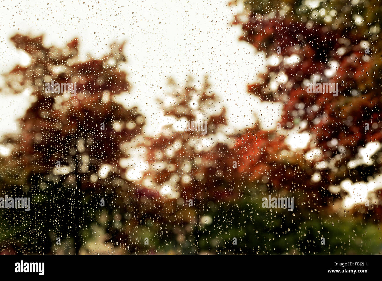 Gocce di pioggia sulla finestra contro lo sfondo autunnale Foto Stock