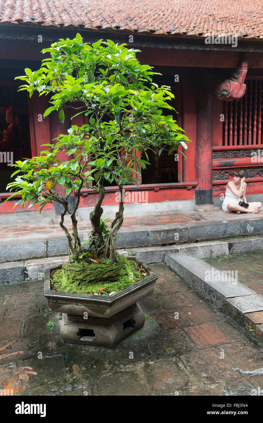 Struttura turistica e nei pressi della casa di cerimonie del Tempio della Letteratura, Hanoi Vietnam Foto Stock