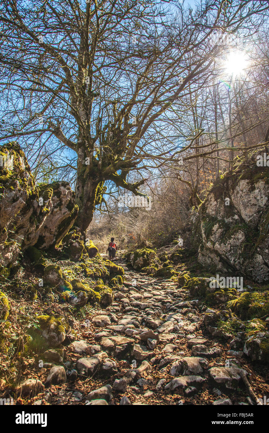 Gli escursionisti, mistico percorso di pietra di fronte la proliferazione incontrollata di boschi, Spagna, Asturias, Picos de Europa, Foto Stock