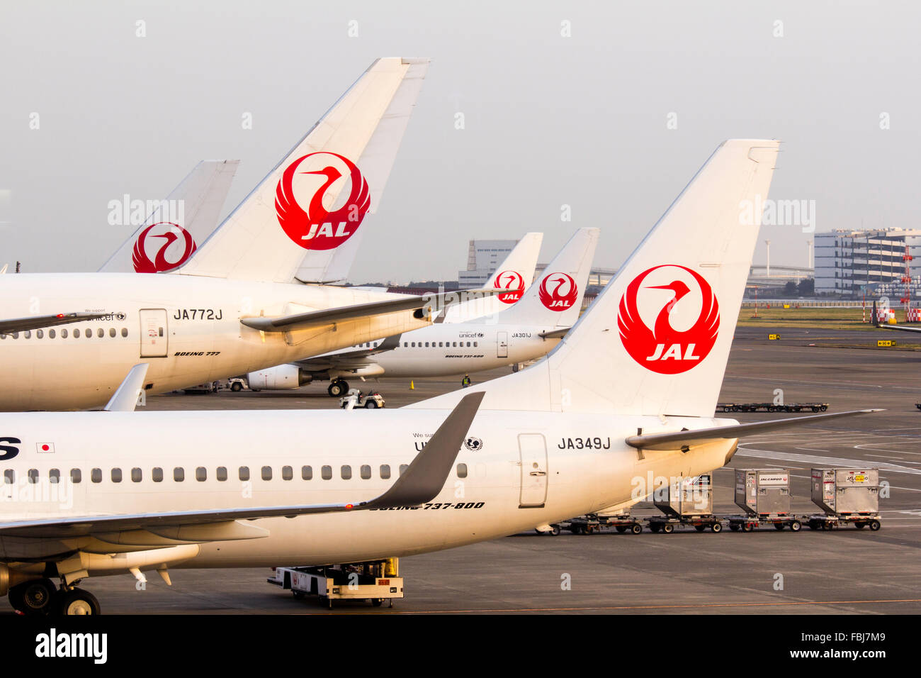 Giappone, Tokyo Haneda. Veduta laterale lungo la fila di JAL, Giapponese aereo di linea, 5 Boeing 737s e 777 di un aereo di linea parcheggiata. Logo JAL su tailfin. Foto Stock