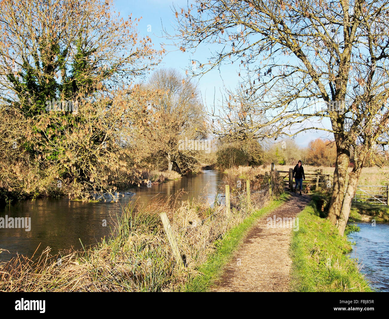 Il modo Itchen sentiero visto tra Hockley e Shawford vicino a Winchester segue il fiume Itchen Itchen e navigazione. Foto Stock