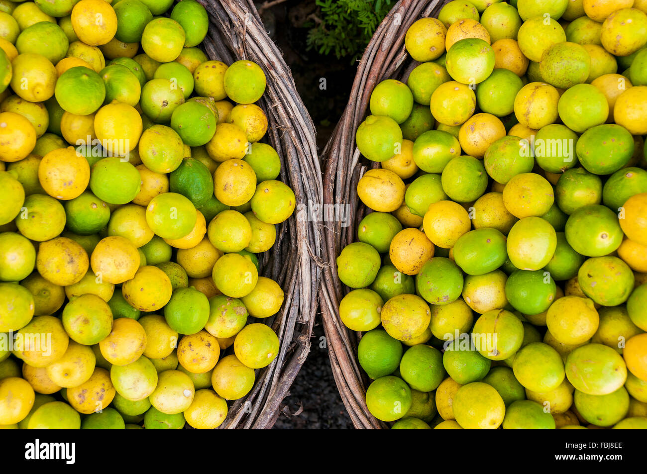 Limes un limoni in due ceste al mercato asiatico Foto Stock