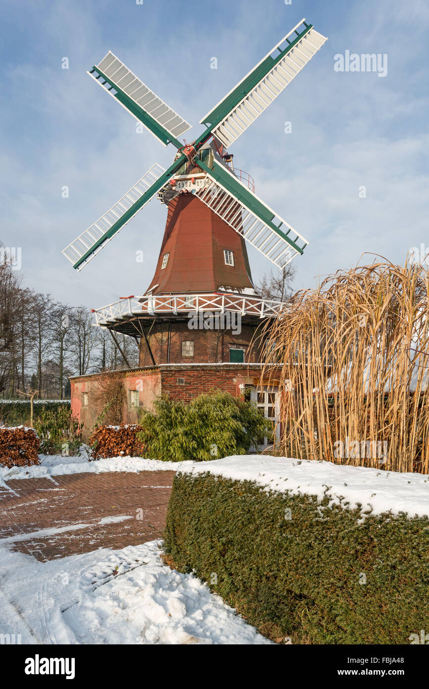 Umore invernale, Mulino Rosso Berumerfehn, comune Großheide, Frisia orientale, Foto Stock