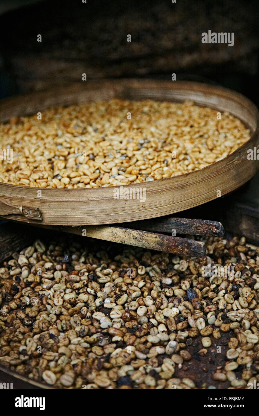 Chicchi di caffè, Kofi Luwak non torrefatto e tostate, in cesti di bambù, Bali, Indonesia, Asia Foto Stock