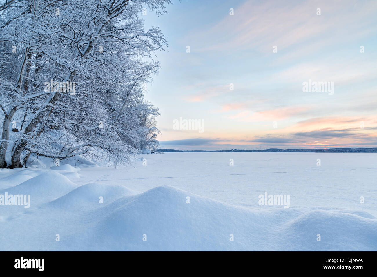 Snowbanks, alberi innevati e il lago a Tampere, in Finlandia al mattino in inverno. Foto Stock