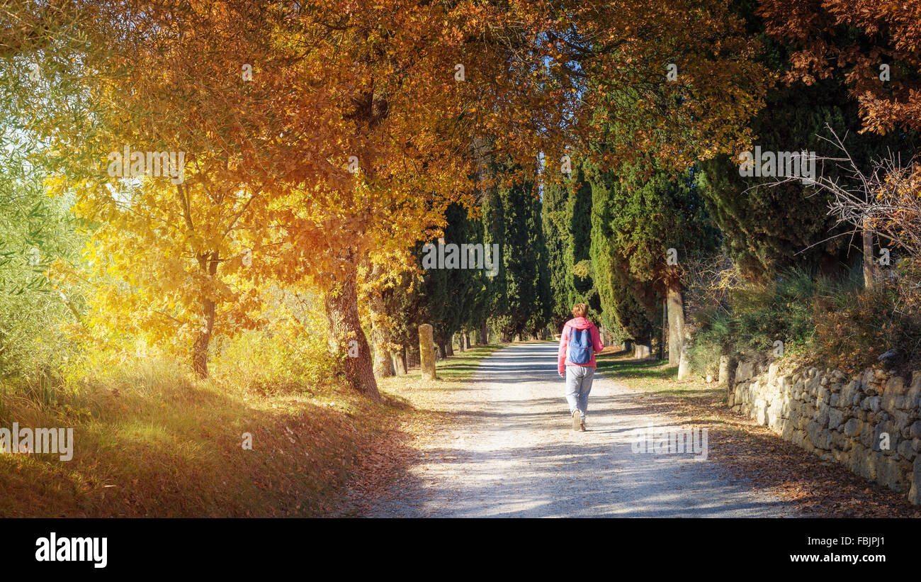 Donna viaggiatore con zaino con bellissimo paesaggio estivo Foto Stock