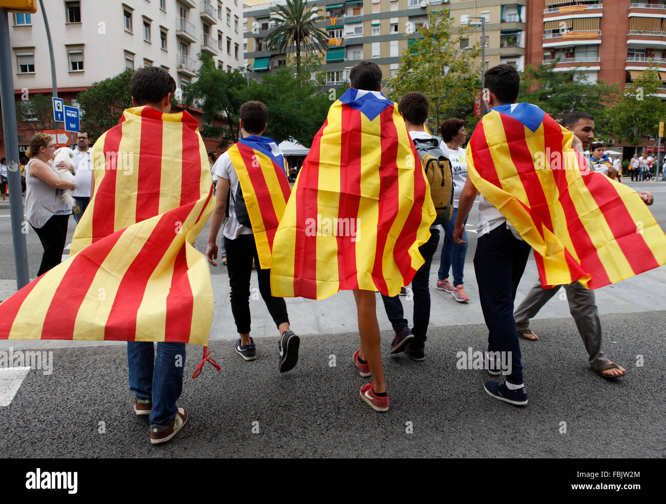 Circa 2 milioni di pro-indipendenza catalani raccogliere su Avinguda Meridiana, Barcellona bandiera catalana Foto Stock