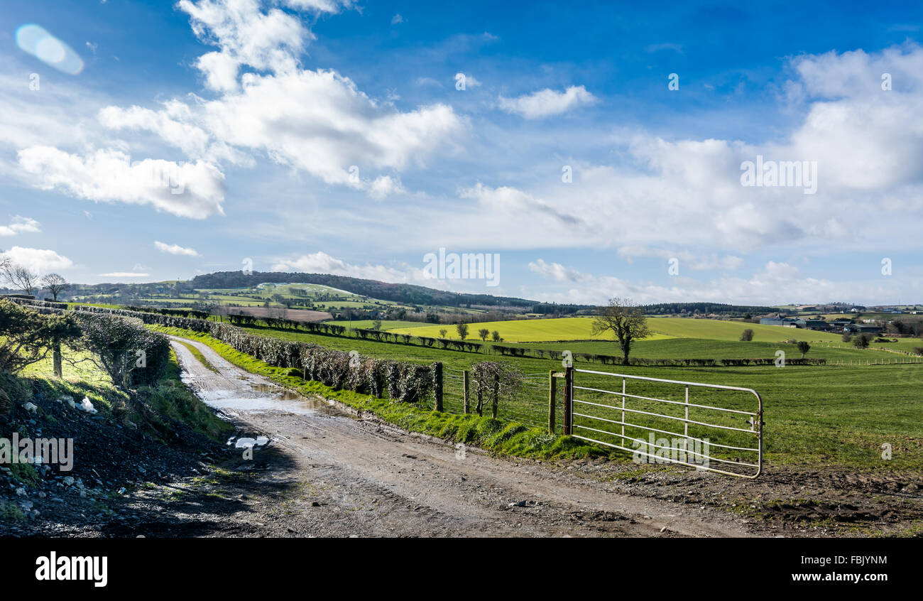 Un piccolo paese con una strada conduce attraverso i campi e colline passato un campo di ferro gate. Foto Stock