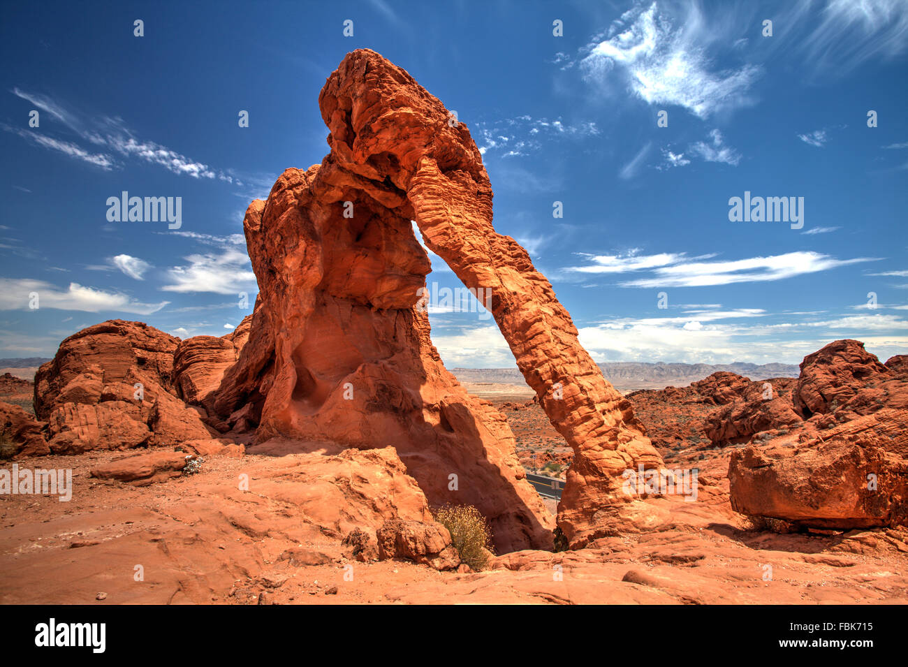 Elephant Rock, la Valle del Fuoco Foto Stock