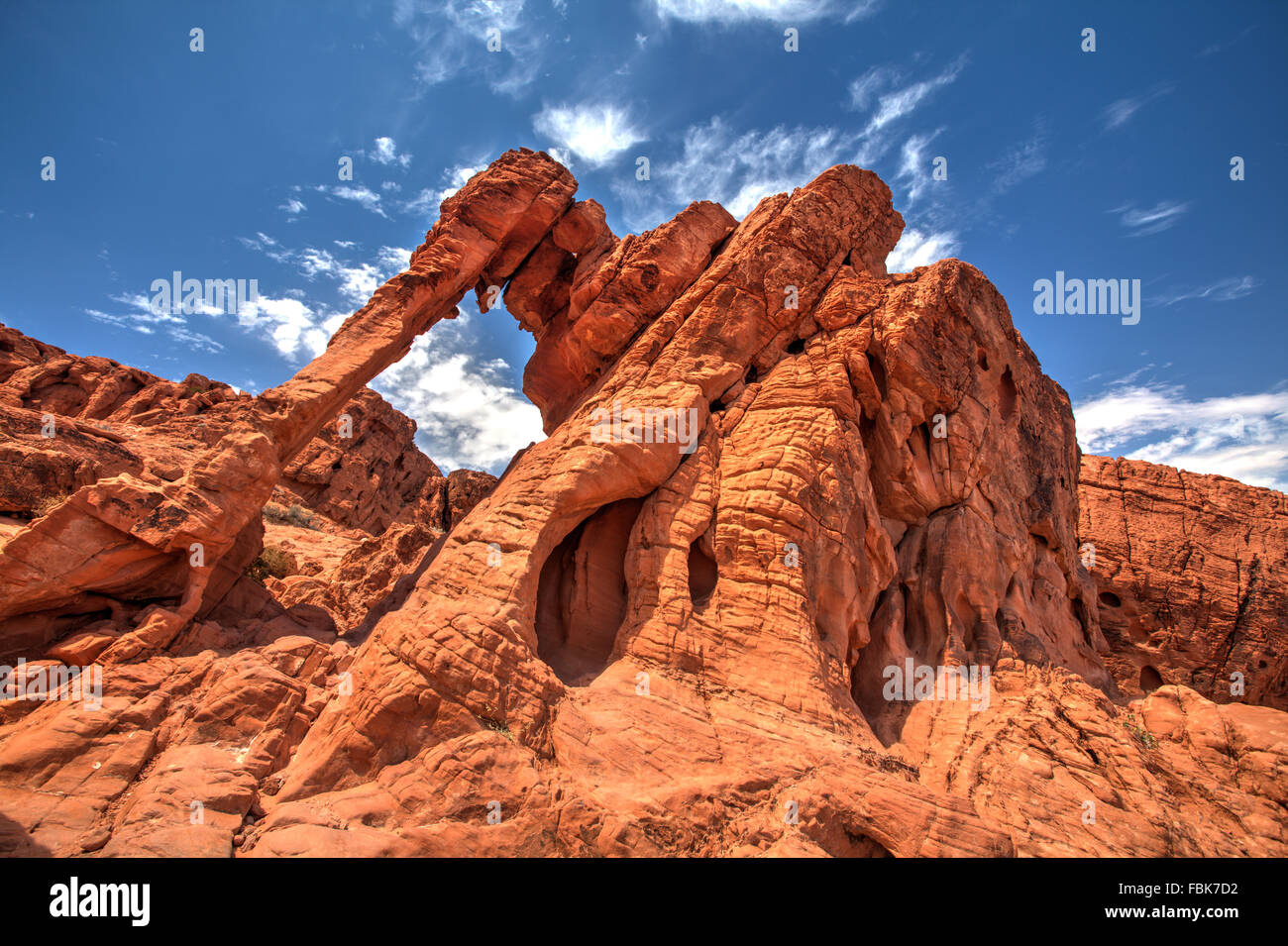 Elephant Rock, la Valle del Fuoco del parco statale, Nevada Foto Stock
