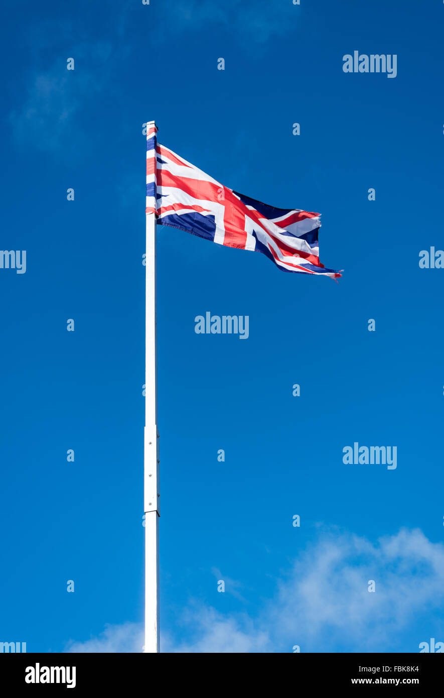 Union Jack flag sul Regno Unito vola da polo bianco a Belfast Foto Stock