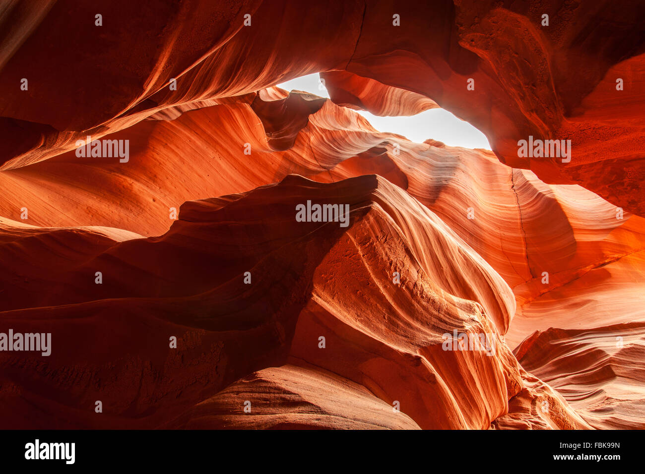 Gli ululati Wolf rock in Upper Antelope Canyon, Page Arizona Foto Stock