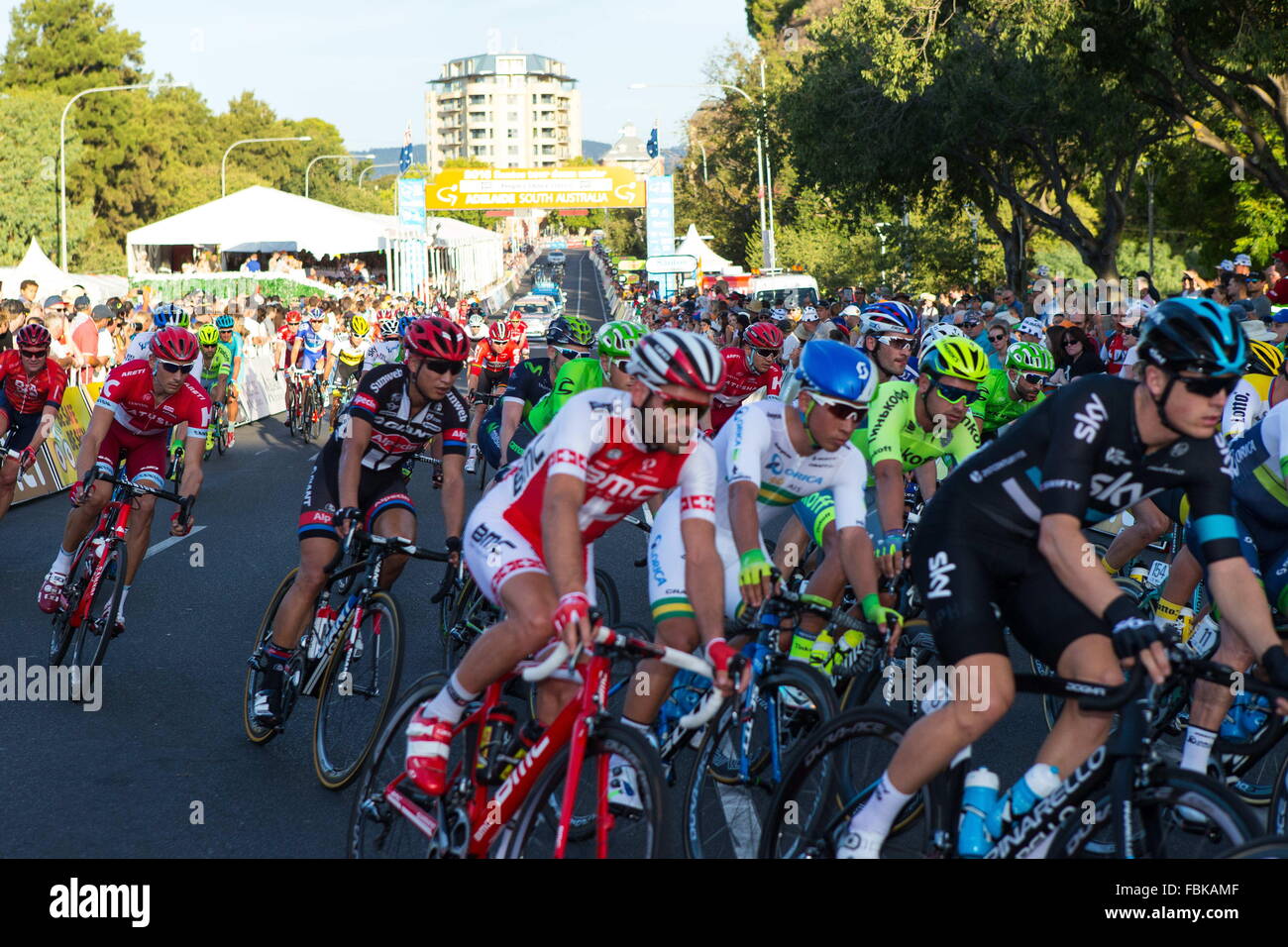 Adelaide, Australia. Xvii gen, 2016. Il giovane Australiano sensazione sprint Caleb Ewan (Orica bordo verde) ha tolto al popolo la scelta di Classic Adelaide East End di attraversamento della linea ben chiara di Giacomo Nizzolo (Trek Segafredo) e Adam Blythe (Tinkoff). People's Choice Classic Street Race, Tour Down Under. (Credit: Gary Francesco via filo di ZUMA) Credito: ZUMA Press, Inc./Alamy Live News Foto Stock