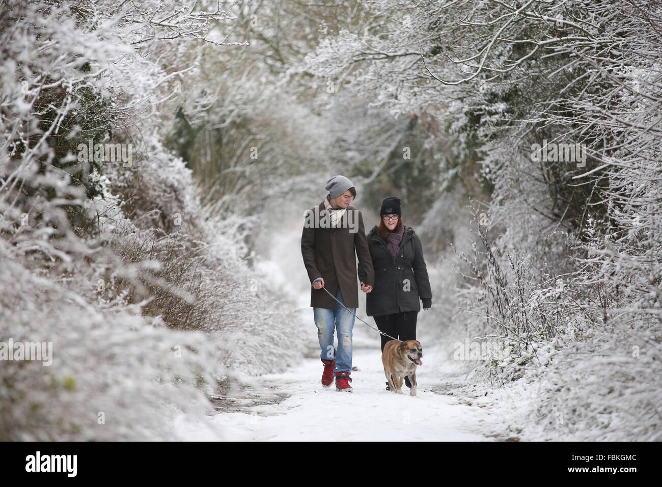 Una giovane coppia a piedi vi cane giù per un sentiero innevato sul South Downs in Glyndebourne. Il 17 gennaio 2016. Foto Stock