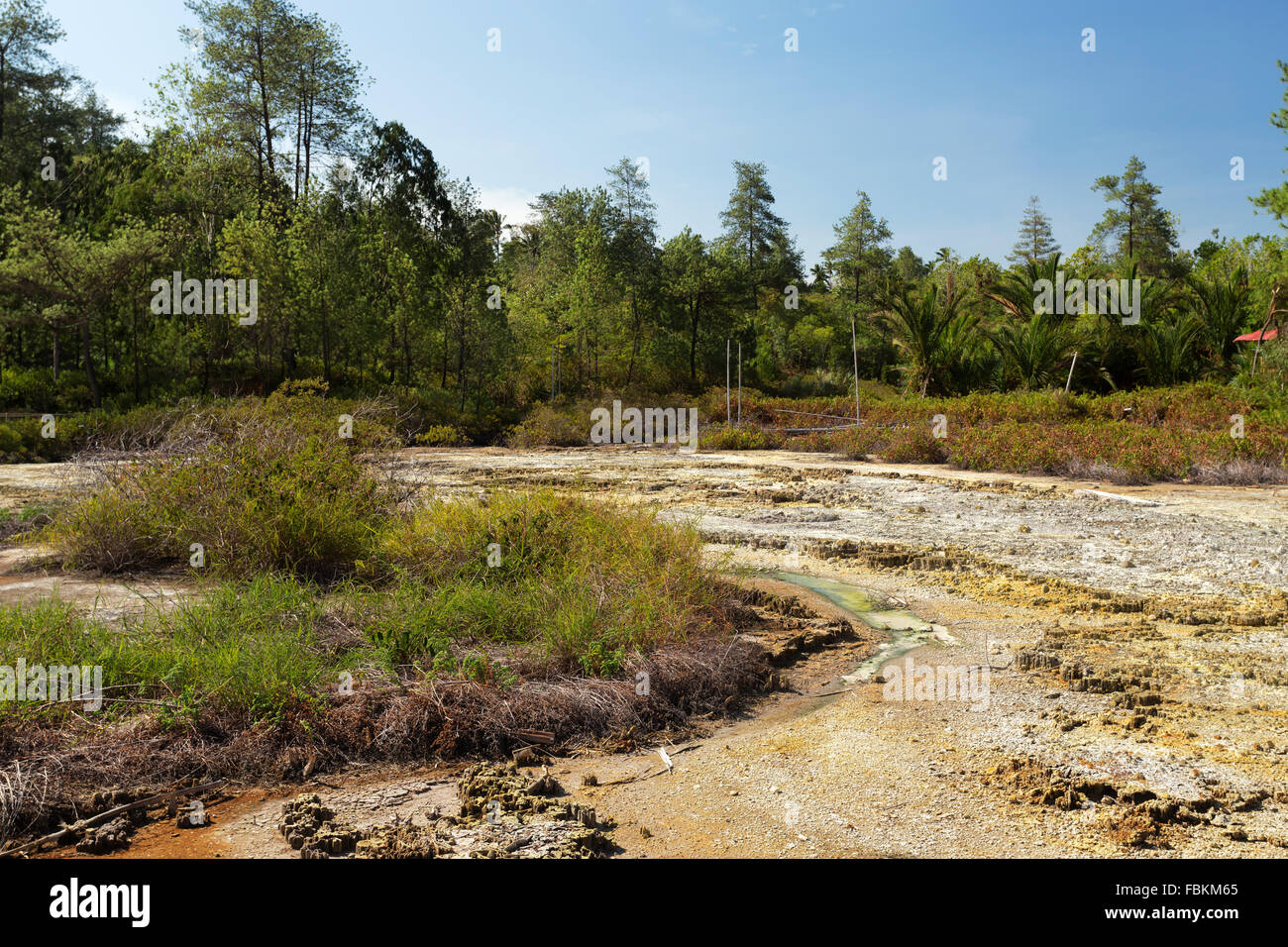 Laghi sulfuree vicino a Manado, Indonesia, nome originale: Wisata Hutan Pinus Dan Pemandian Panas aria Foto Stock