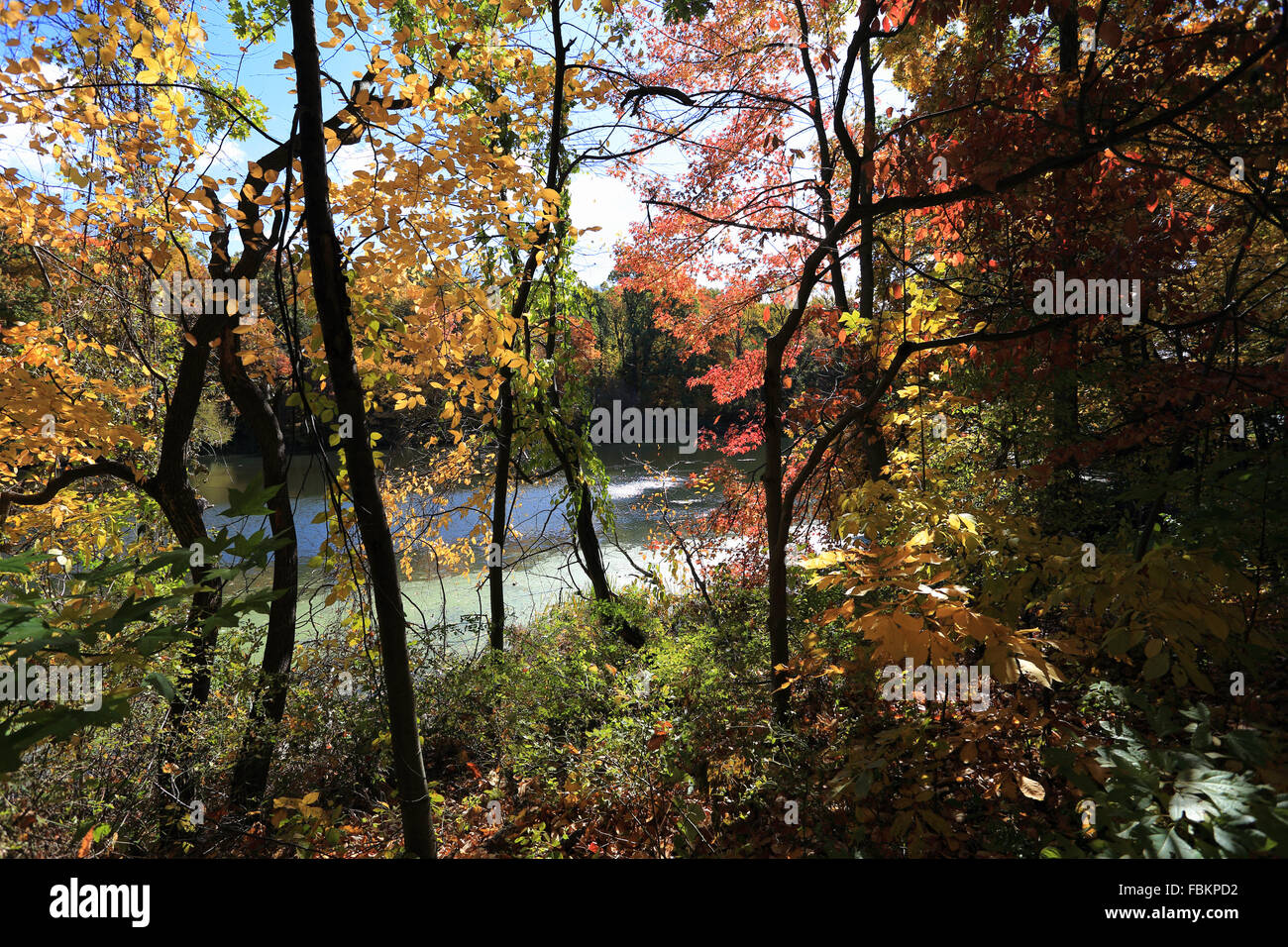 Tibbetts Brook Park Yonkers New York Foto Stock