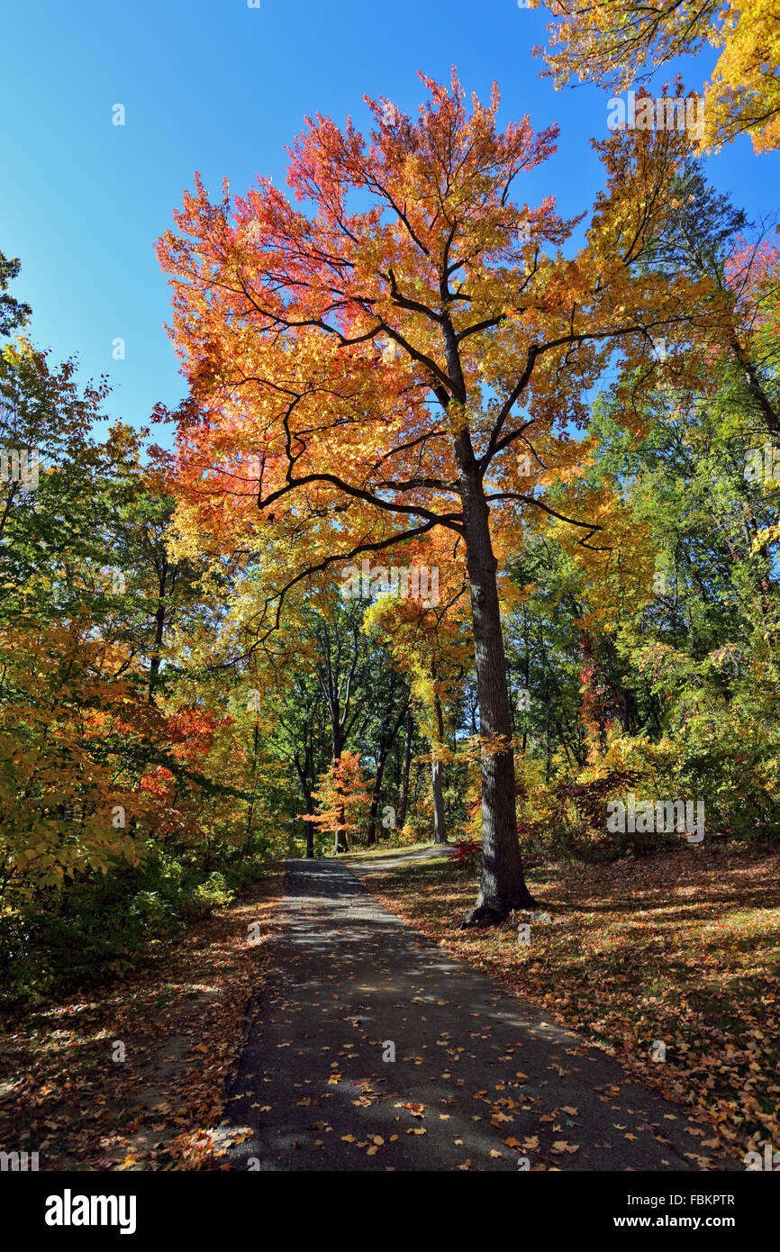 Tibbetts Brook Park Yonkers New York Foto Stock