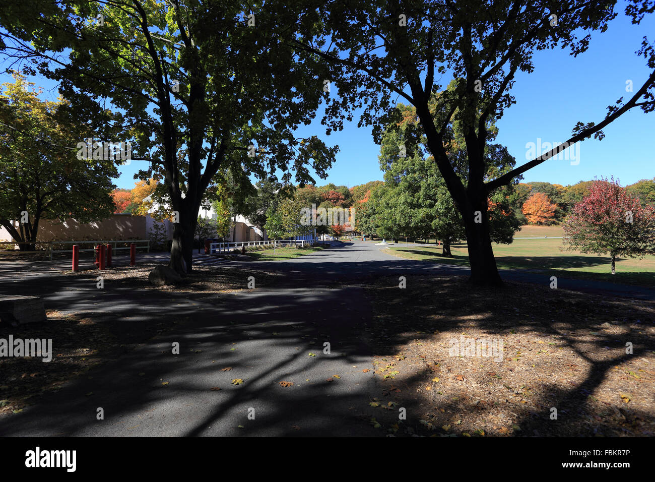 Tibbetts Brook Park Yonkers New York Foto Stock