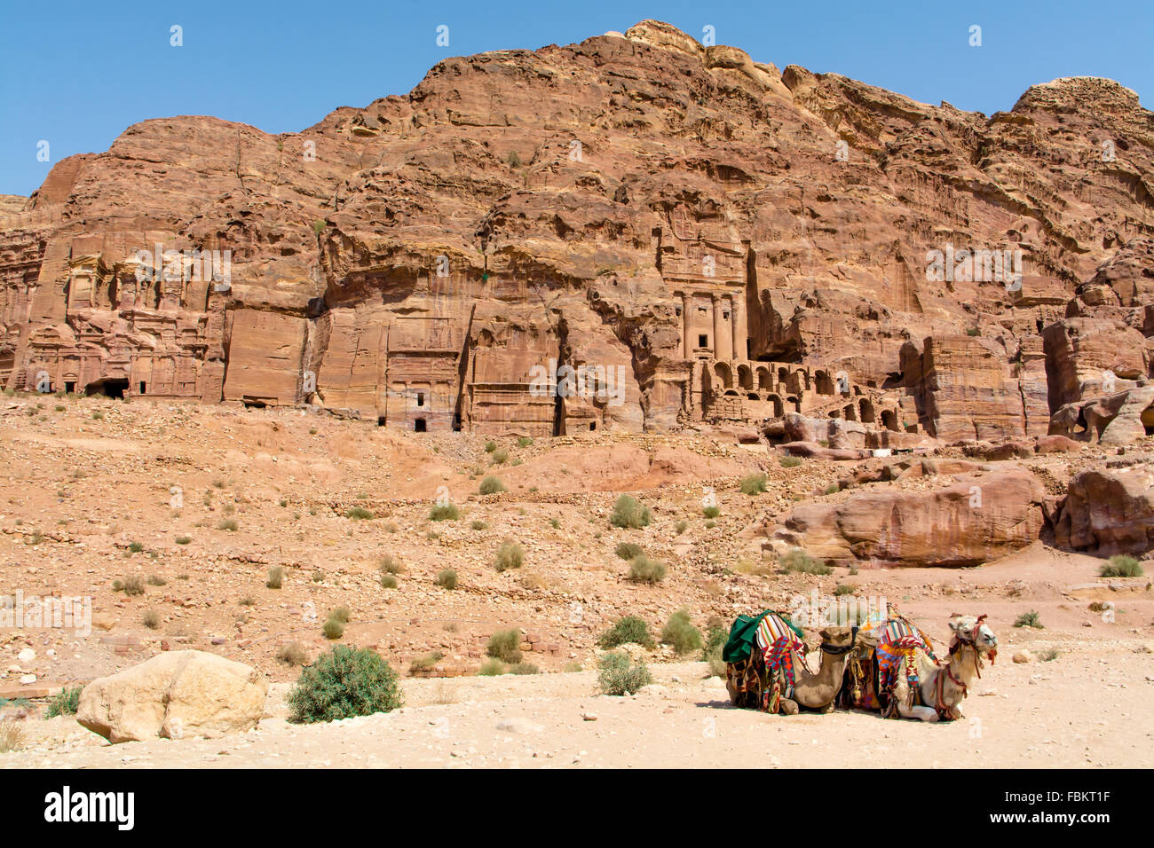 Cammelli in appoggio sulla strada contro edificio storico in Petra, Giordania Foto Stock