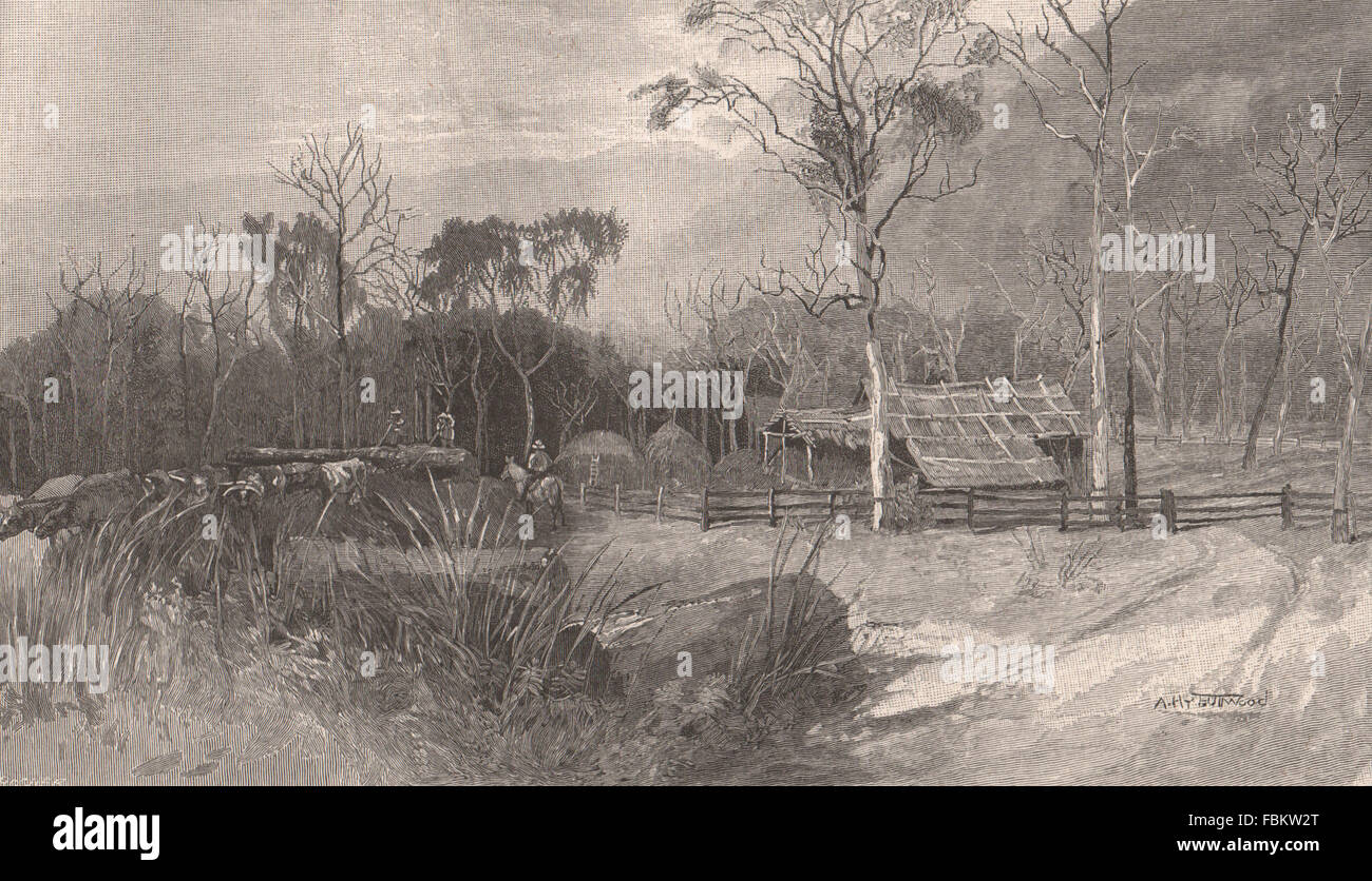 Un pioneer settlement. Victoria, Australia, antica stampa 1888 Foto Stock