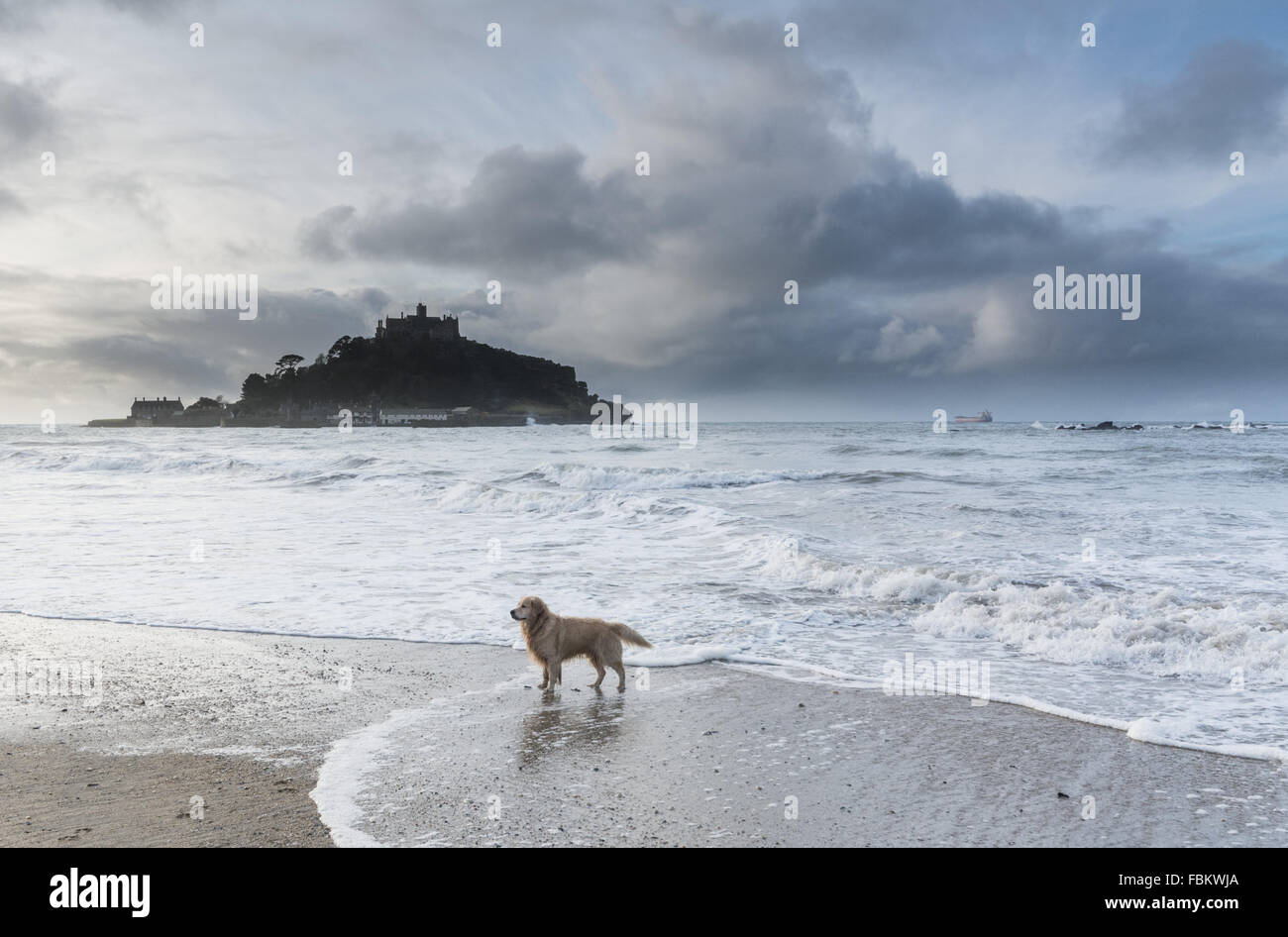 Marazion, Cornwall, Regno Unito. 18 gennaio 2016. Regno Unito Meteo. Dolce con intervalli di sole su Mounts Bay Cornwall. La zona è stato appena annunciato come una delle nuove zone di conservazione in tutto il paese, da MCS. Riconosciuto per il suo importante habitat - compresi Eeel erba, Mounts Bay ospita una grande varietà di fauna e flora selvatiche e rari uccelli marini. Vi è attualmente un subacqueo del Pacifico nel settore che ha attratto twitchers provenienti da tutto il paese. Credito: Simon Maycock/Alamy Live News Foto Stock