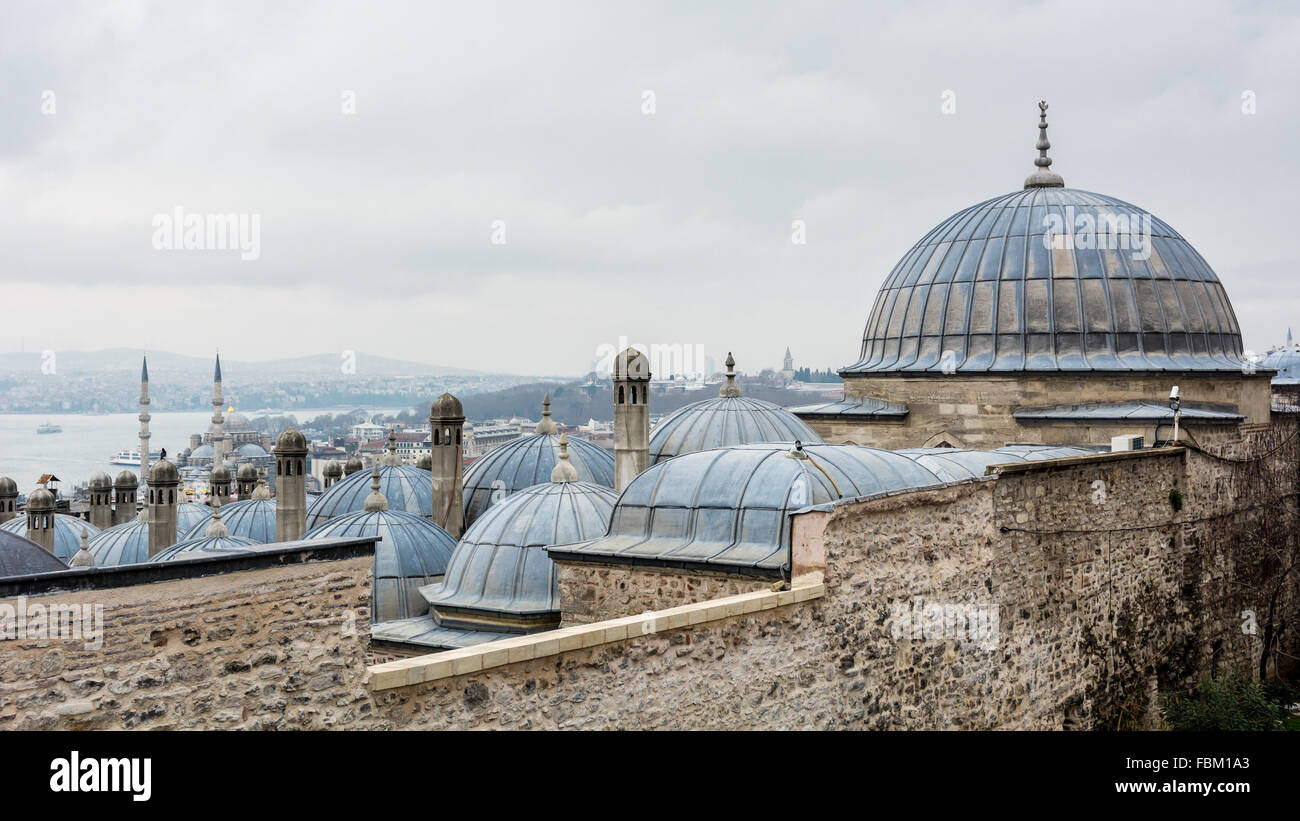 Vista dalla Moschea Süleymaniye Foto Stock