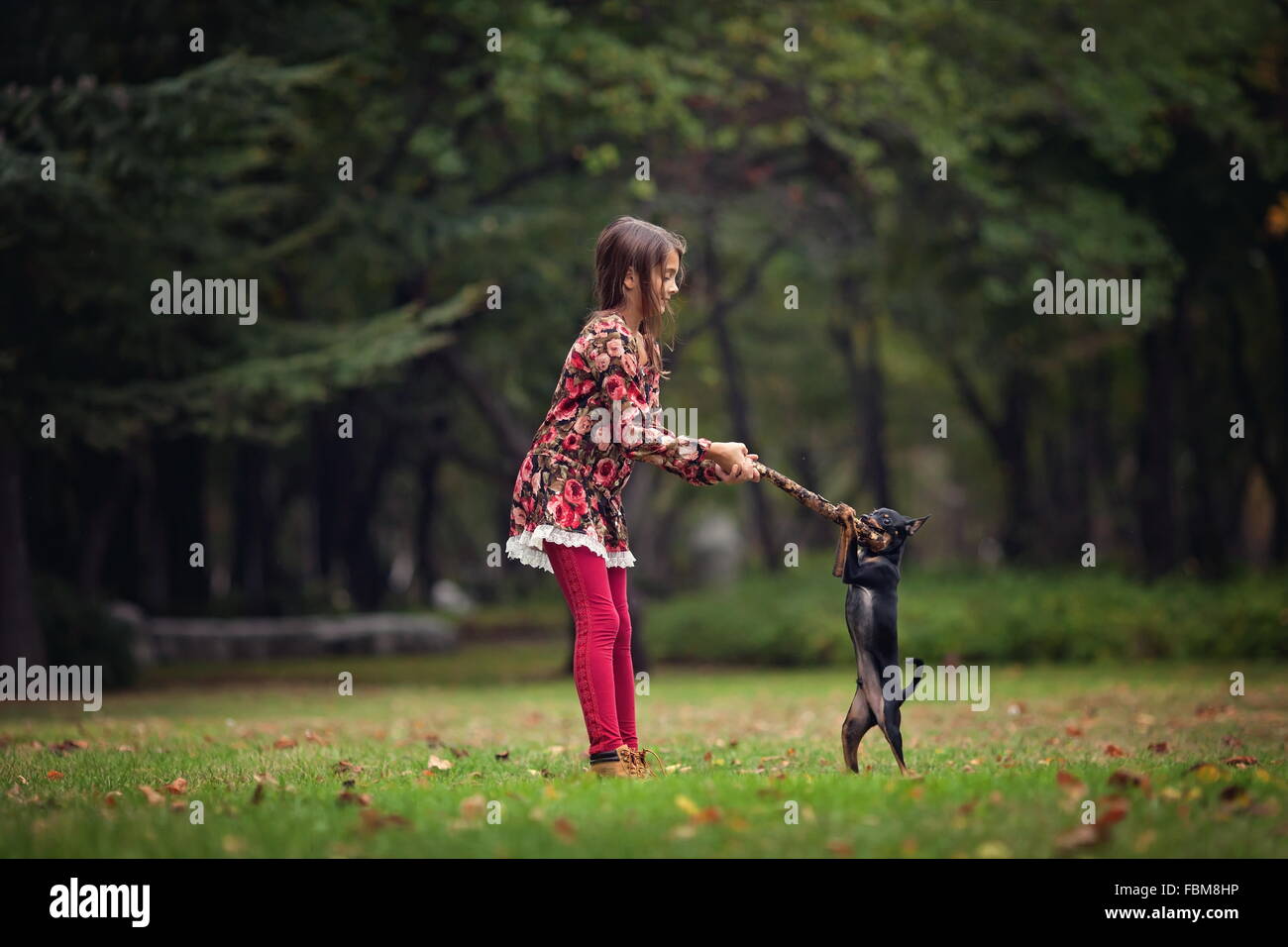 Ragazza che gioca con il suo cucciolo di cane in posizione di parcheggio Foto Stock