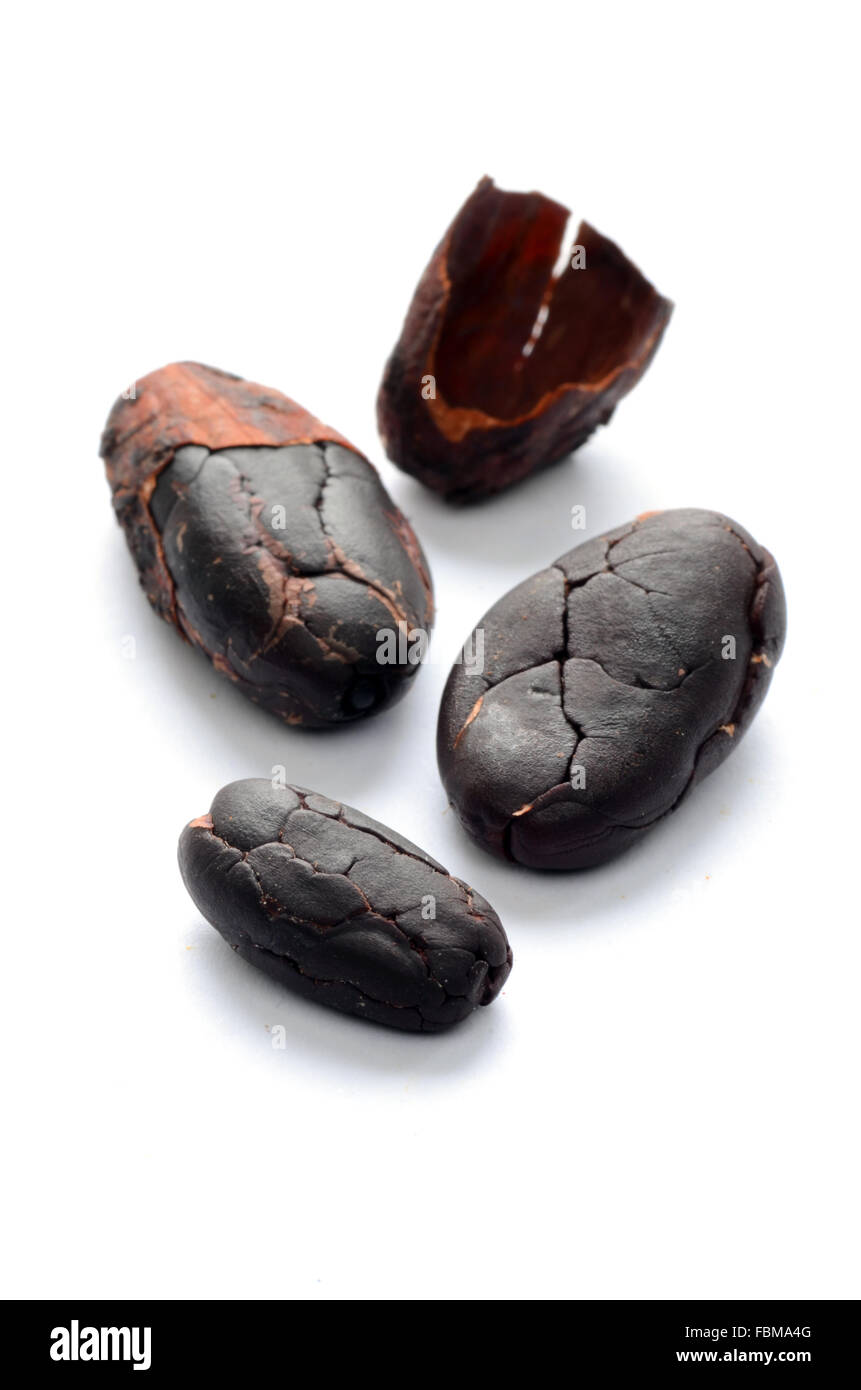 Materie le fave di cacao su sfondo bianco Foto Stock