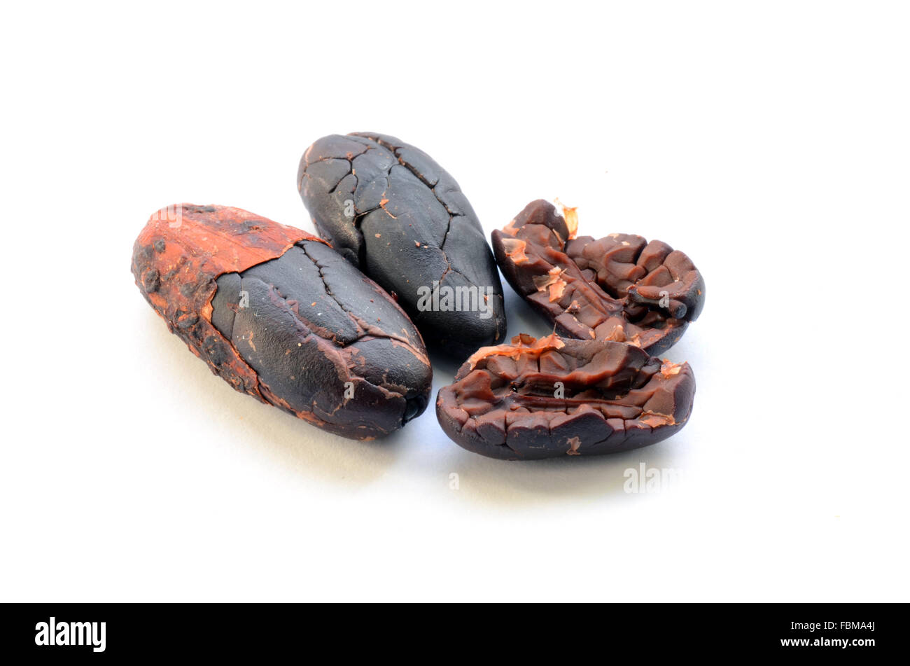 Materie le fave di cacao su sfondo bianco Foto Stock