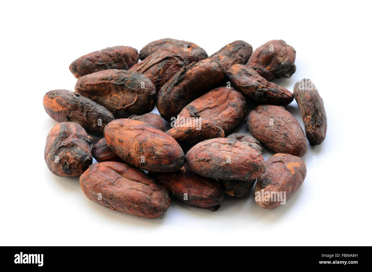 Materie le fave di cacao su sfondo bianco Foto Stock