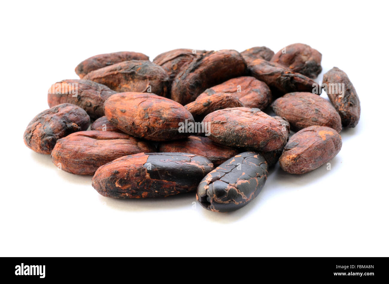 Materie le fave di cacao su sfondo bianco Foto Stock