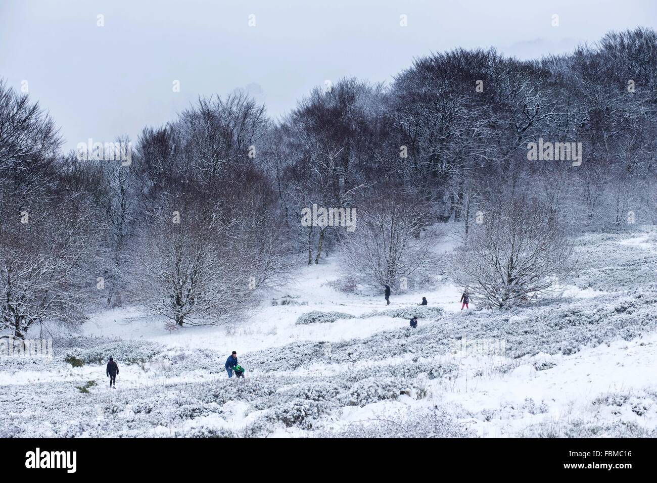 I membri del pubblico godere la neve, in Otley Chevin, in Otley, West Yorkshire. Foto Stock