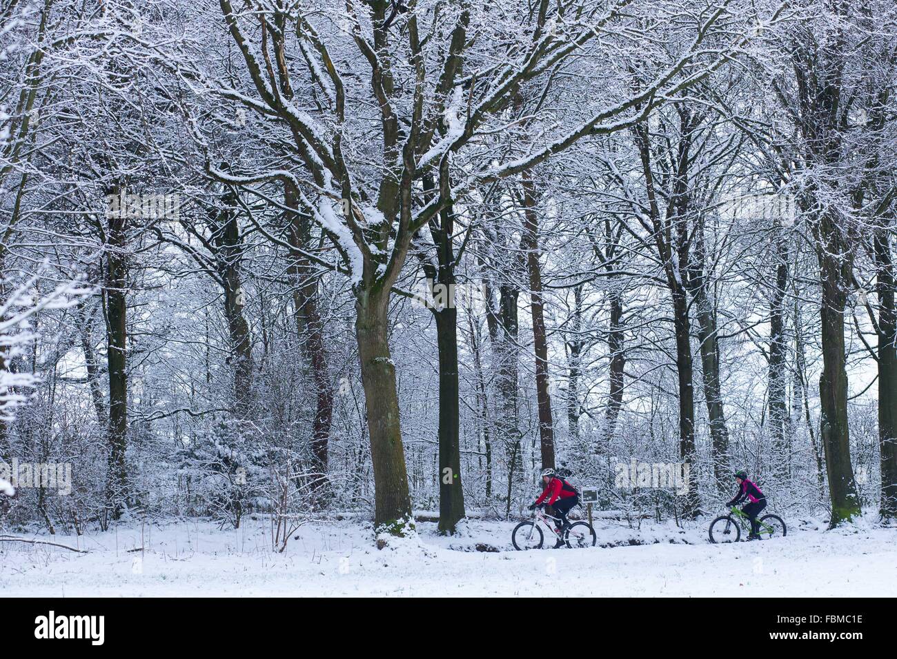 Due ciclisti godere la neve in Otley Chevin Forest Park, a Otley, West Yorkshire. Foto Stock