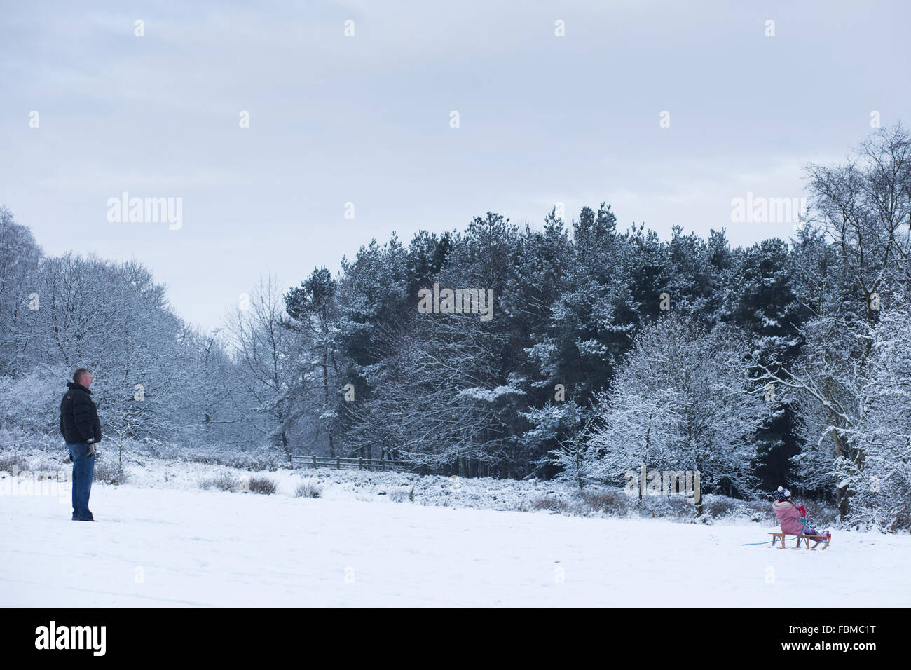 I membri del pubblico godono di slittare durante condizioni di neve, in Otley Chevin Forest Park, a Otley, West Yorkshire. Foto Stock