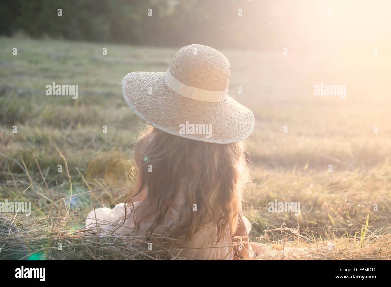 Vista posteriore di una ragazza seduta in un campo Foto Stock