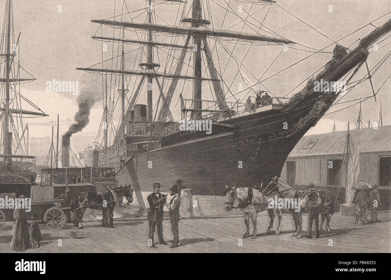 Queen's Wharf.- Caricare le carni congelate di montone. WELLINGTON, Nuova Zelanda, antica stampa 1888 Foto Stock