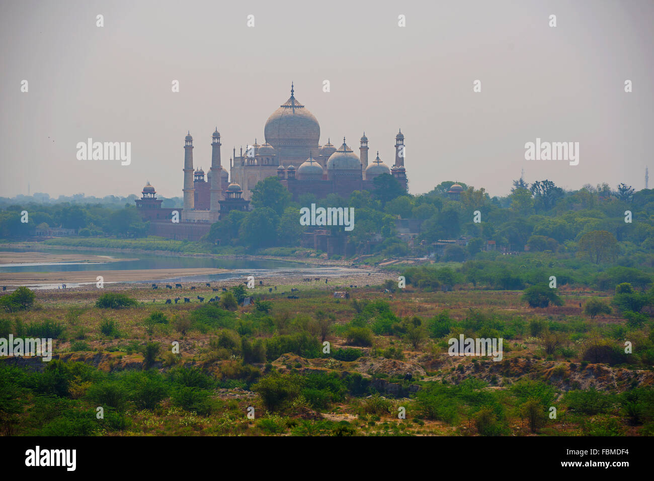Taj Mahal visto da Agra Fort Agra, India Foto Stock