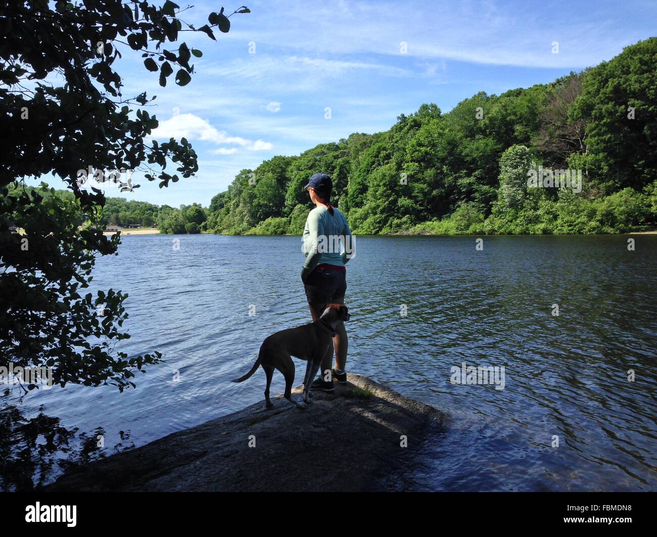 Donna relax nella natura con il suo cane Foto Stock