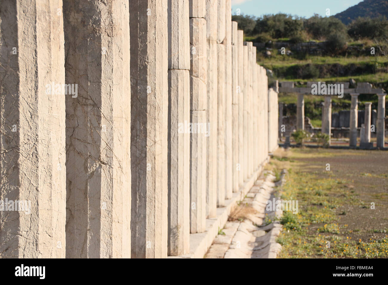 Le antiche rovine, antica Messene, Peloponneso, Grecia Foto Stock