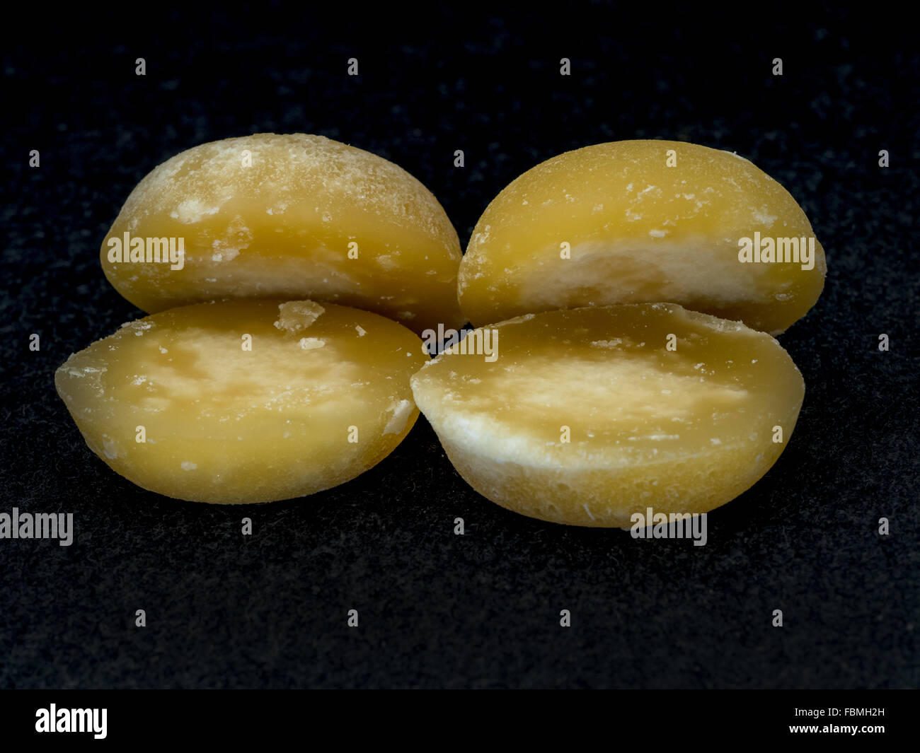 Palm zucchero in quattro tradizionali pezzi rotondi Foto Stock