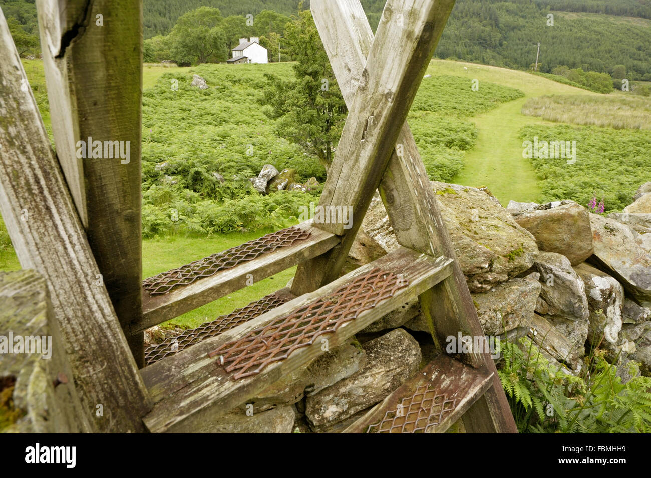 Scaletta in legno stile vicino a isolato imbiancato cottage in pietra nelle vicinanze Llyn Crafnant, Snowdonia, Galles. Foto Stock