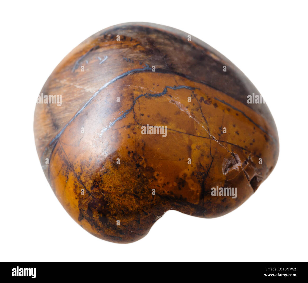 Minerali naturali pietra preziosa - occhio di tigre pietra isolato su sfondo bianco close up Foto Stock